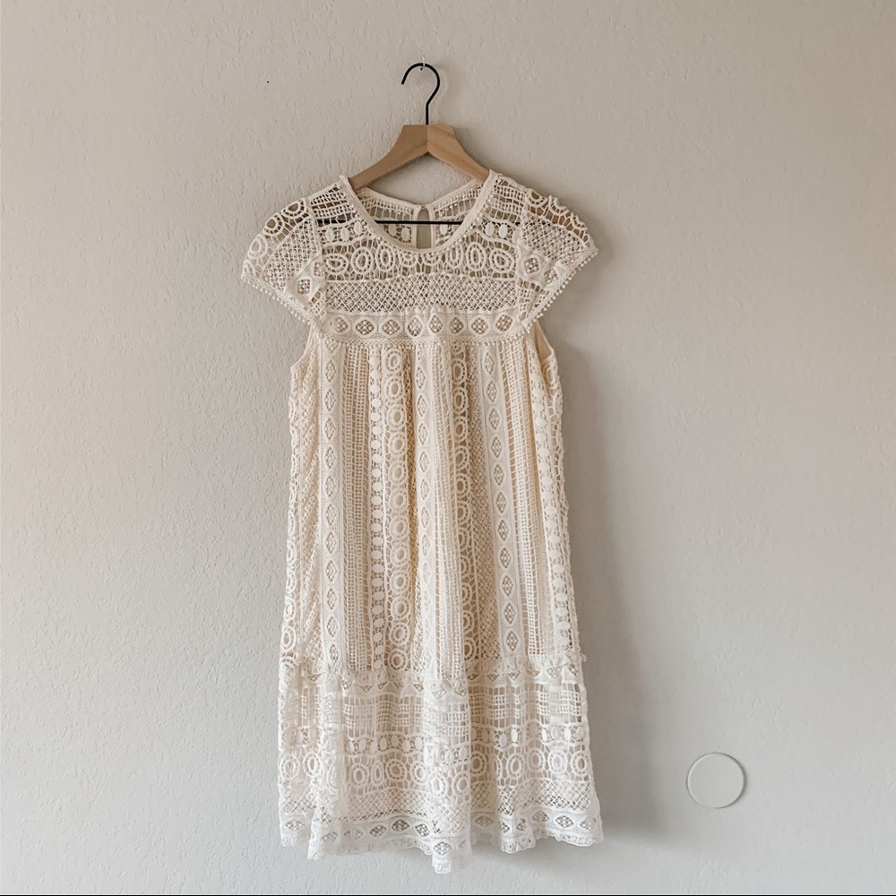 Little Lace Dress